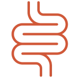 Digestive Fibre