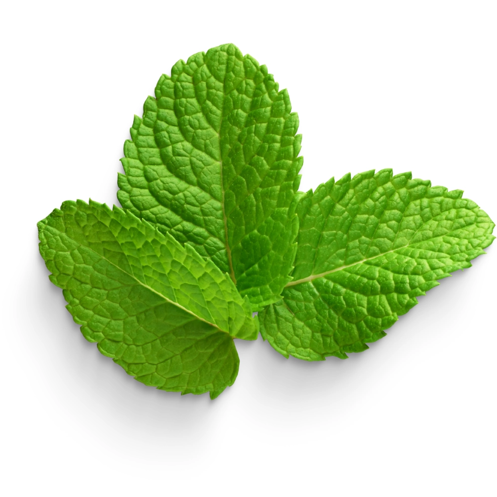 Menthol