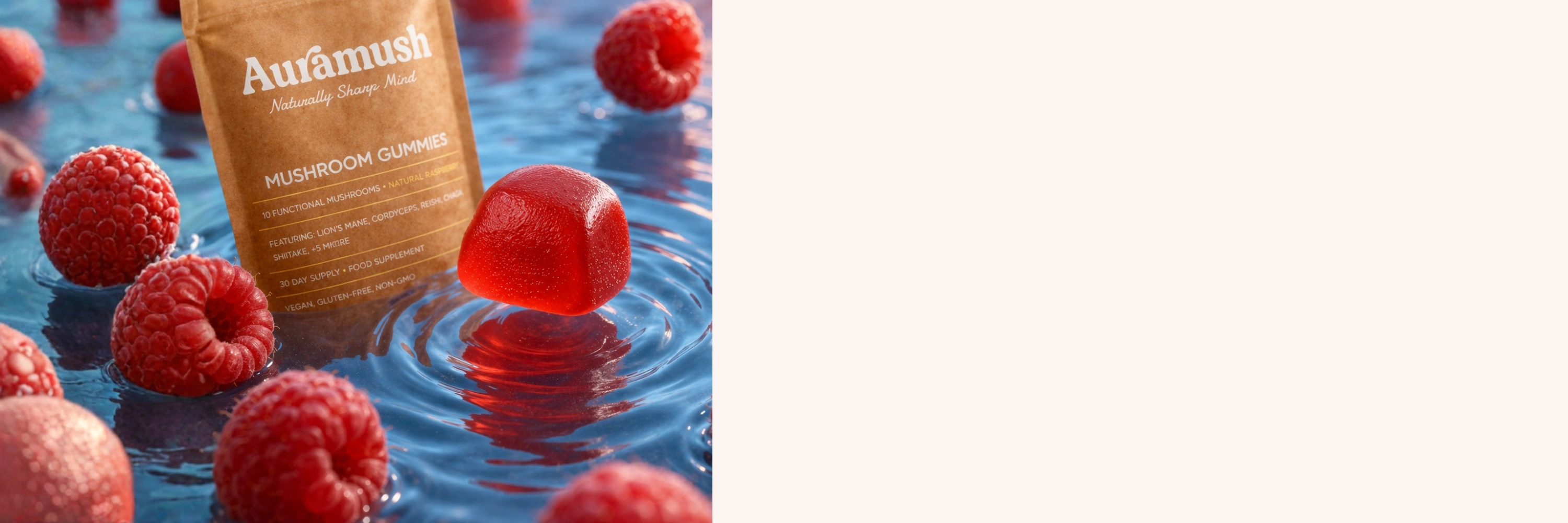 Daily Mushroom Gummies for Focus, Energy & Mental Clarity
