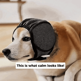 MORE CALM, MORE SAFETY, MORE CONTROL