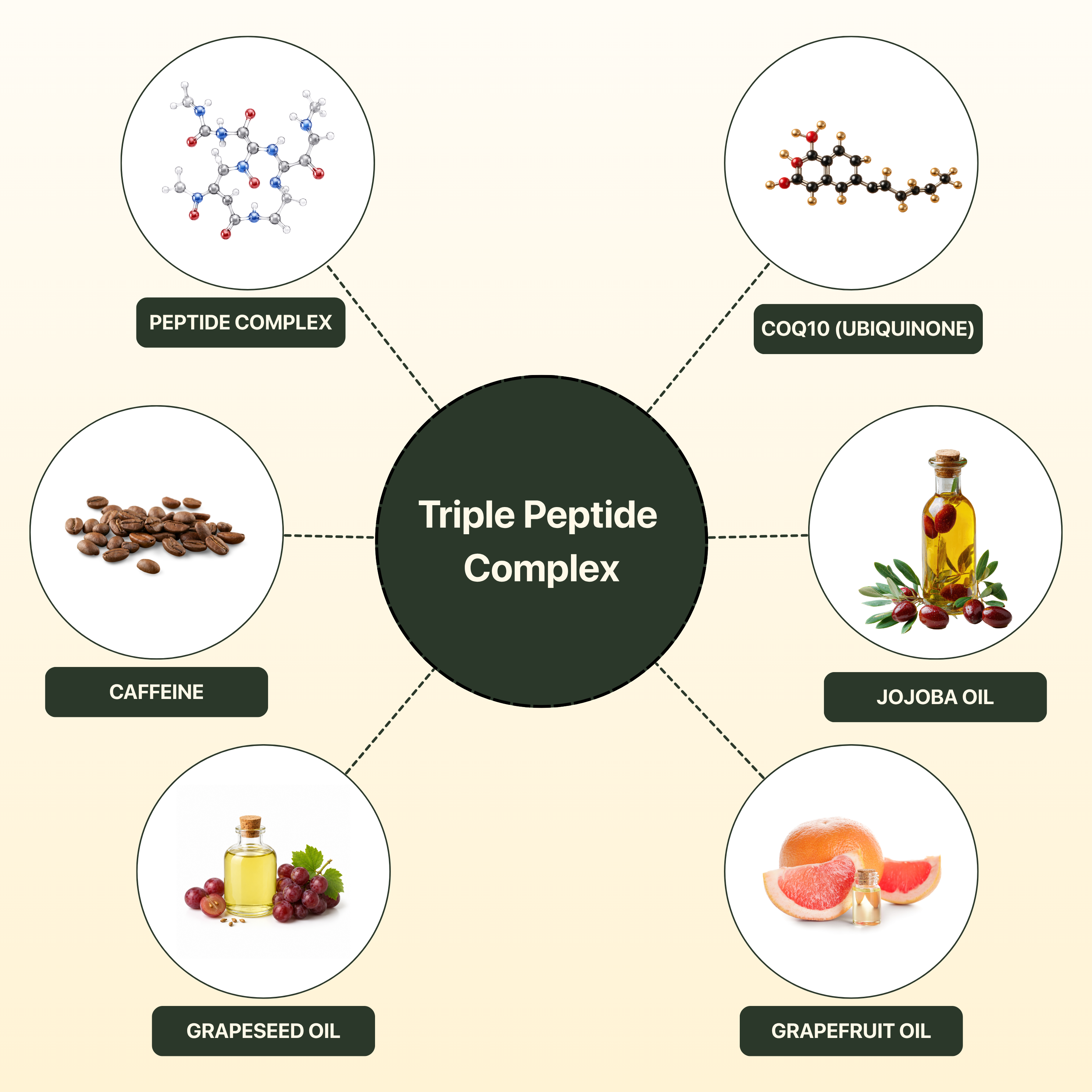 Inside The Formula: A Peptide System Built For Skin