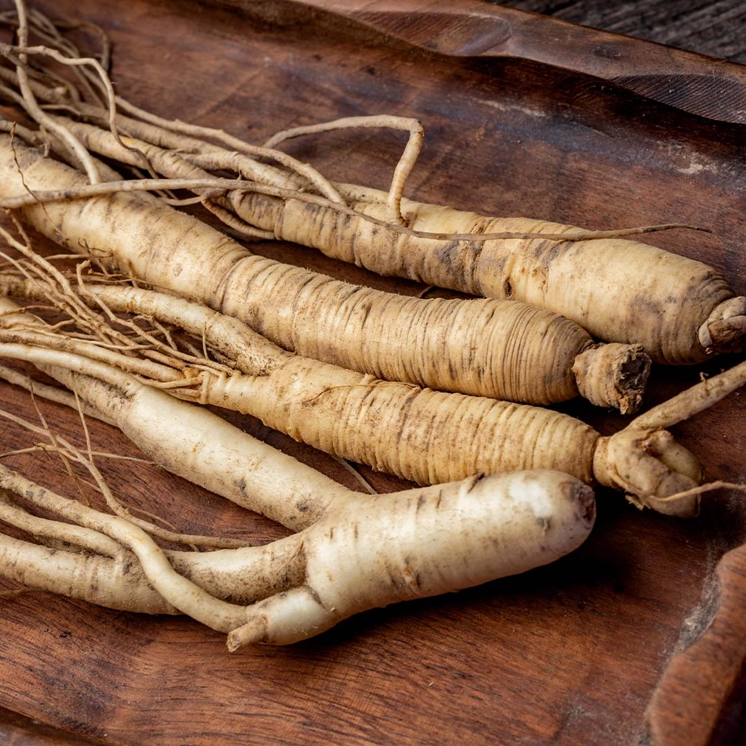 Panax Ginseng<br>