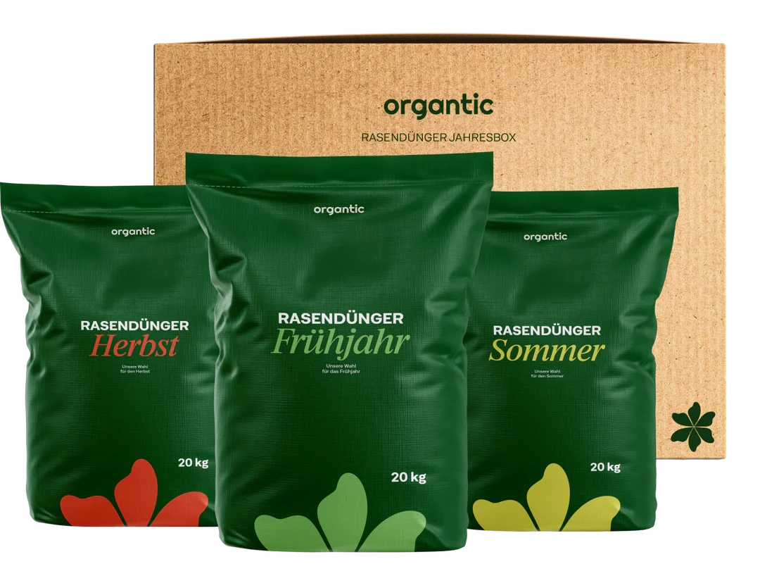 Organtic Jahresbox