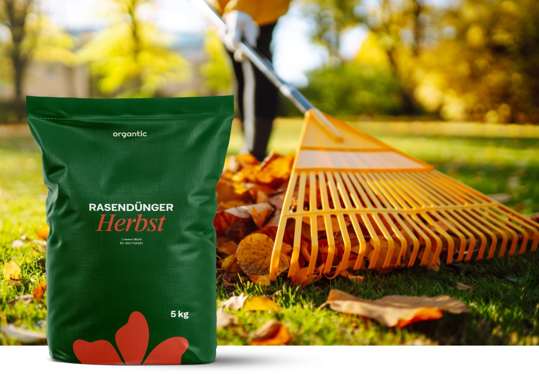 Im Herbst wenn die Tage langsam kürzer werden...