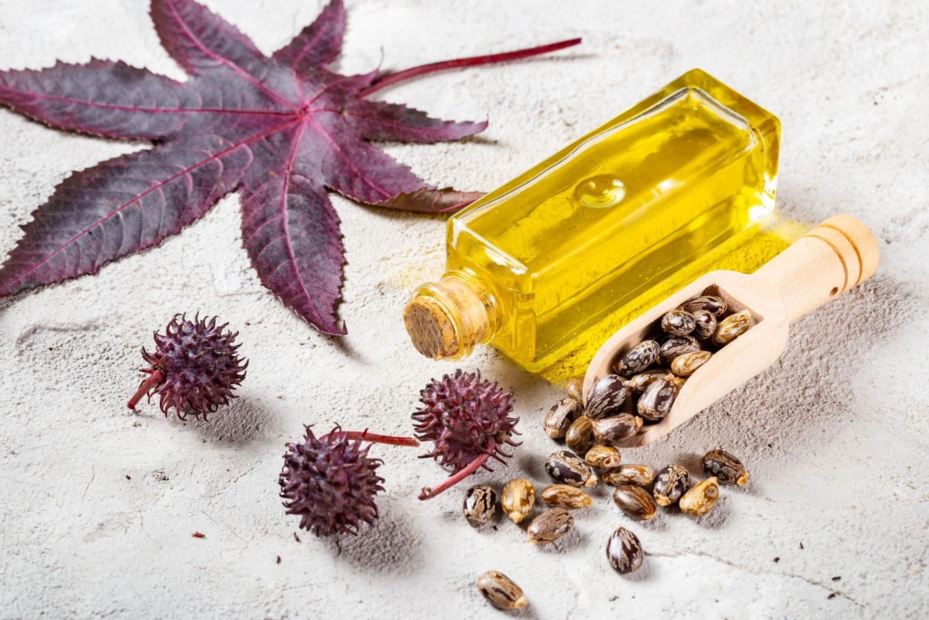

<b>Castor, Jojoba & Coconut Oils · Hydration
<br></b>

