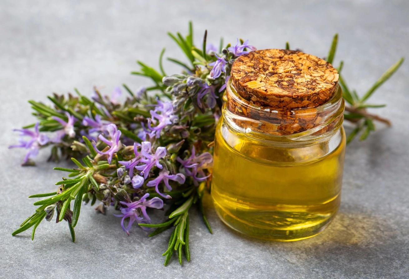 

<b>Rosemary Oil · The MVP</b>

