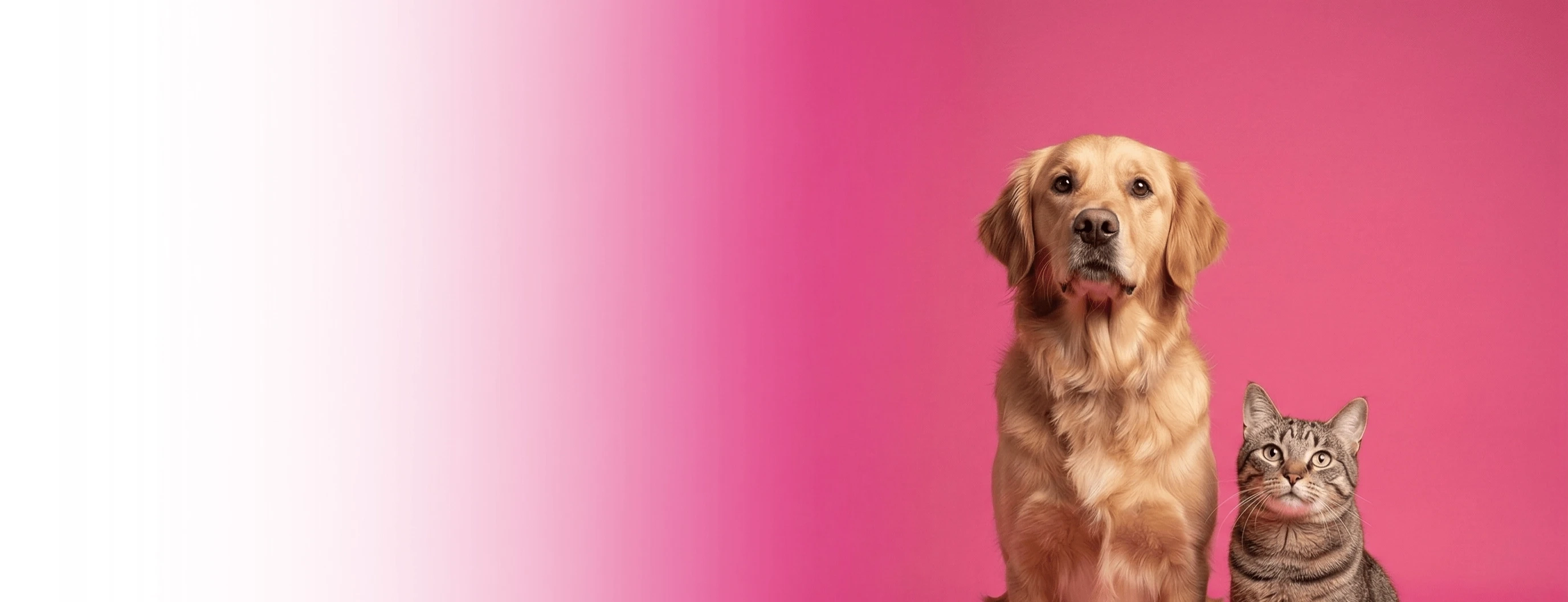 Give Them The Clean&nbsp;Life They Deserve