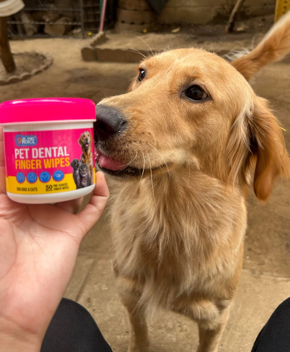 Proof Across Every Routine