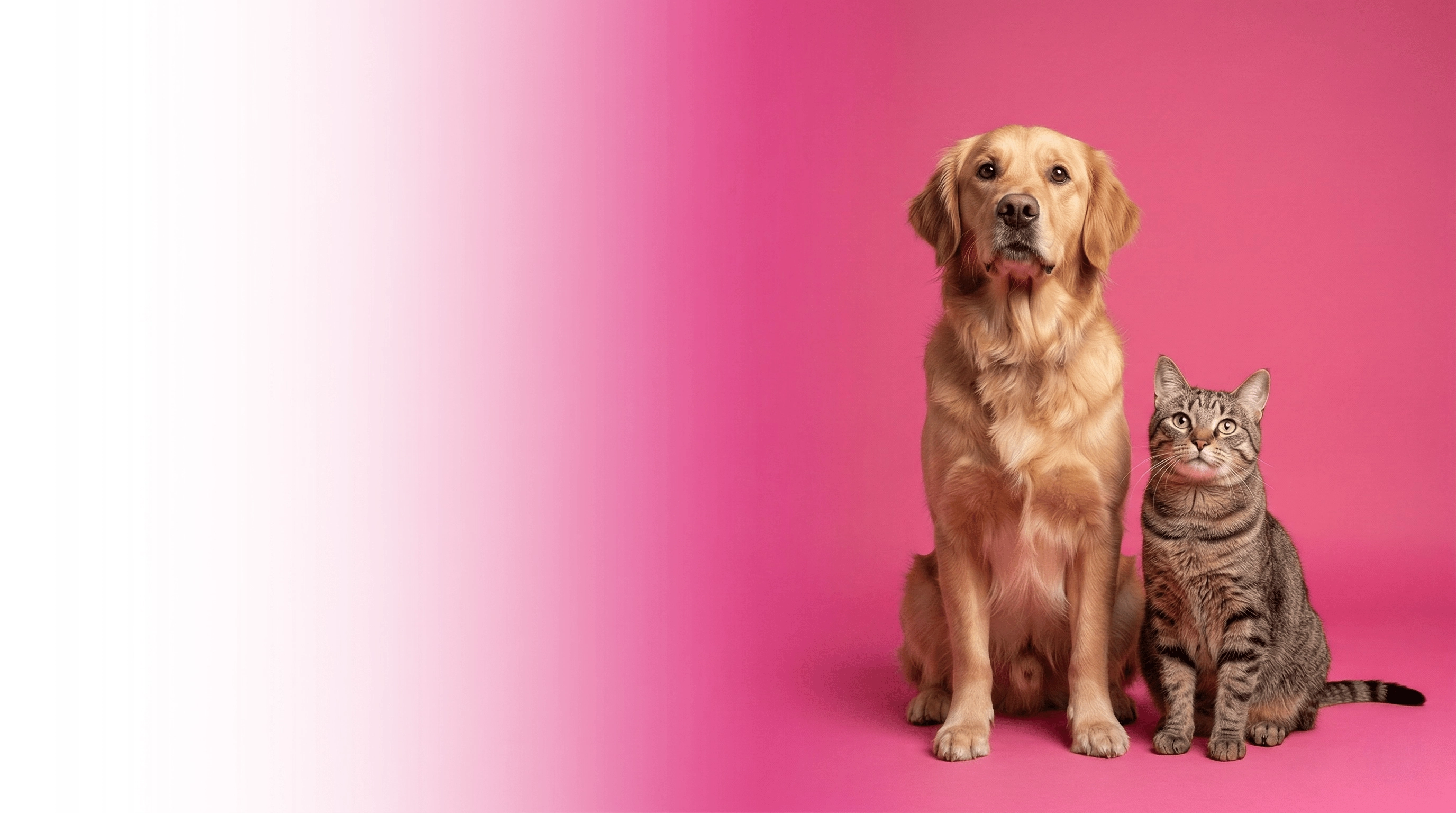 Give Them The Clean Life They Deserve