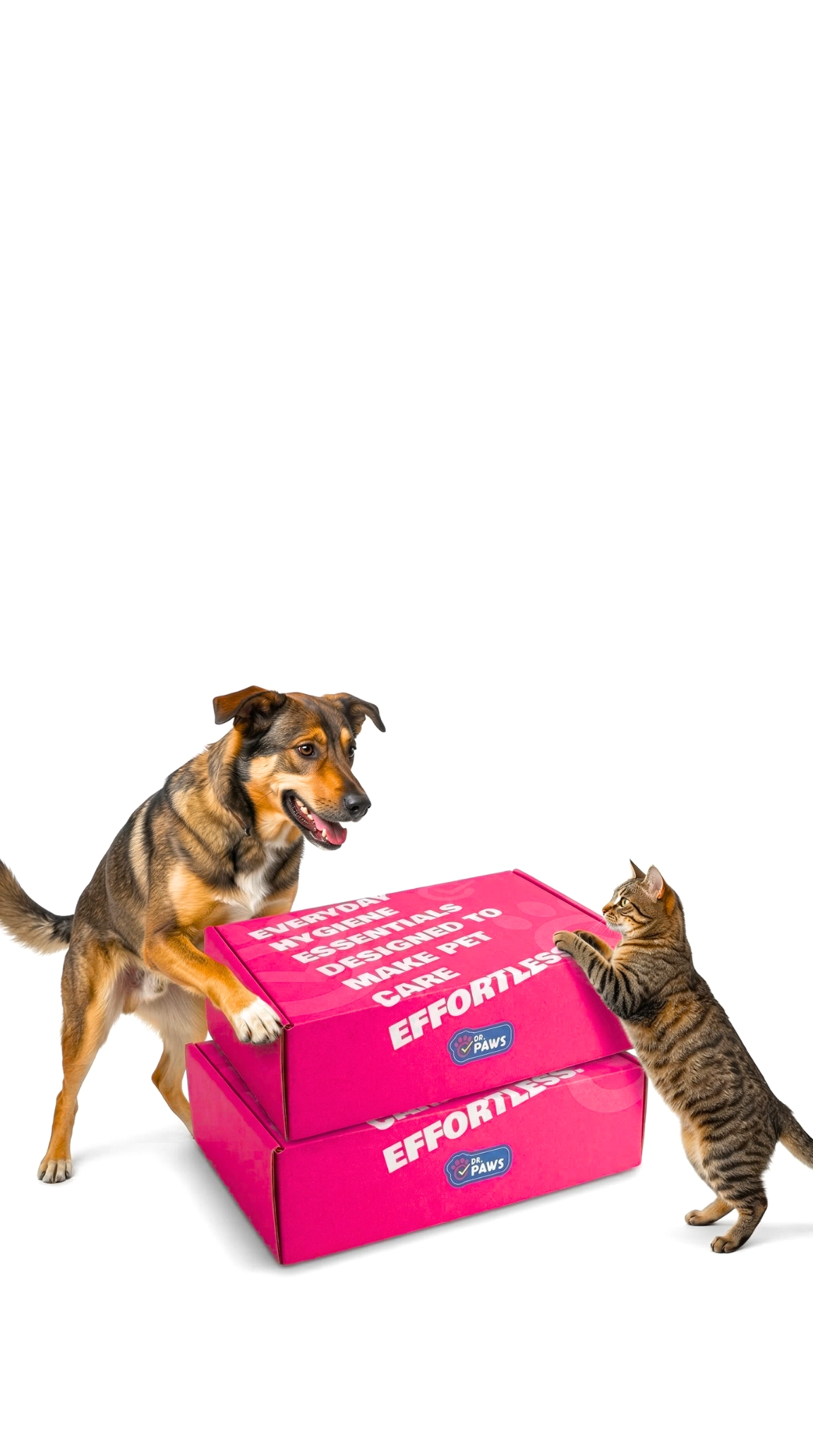 Dog Hygiene That Fits Your Busy Life.