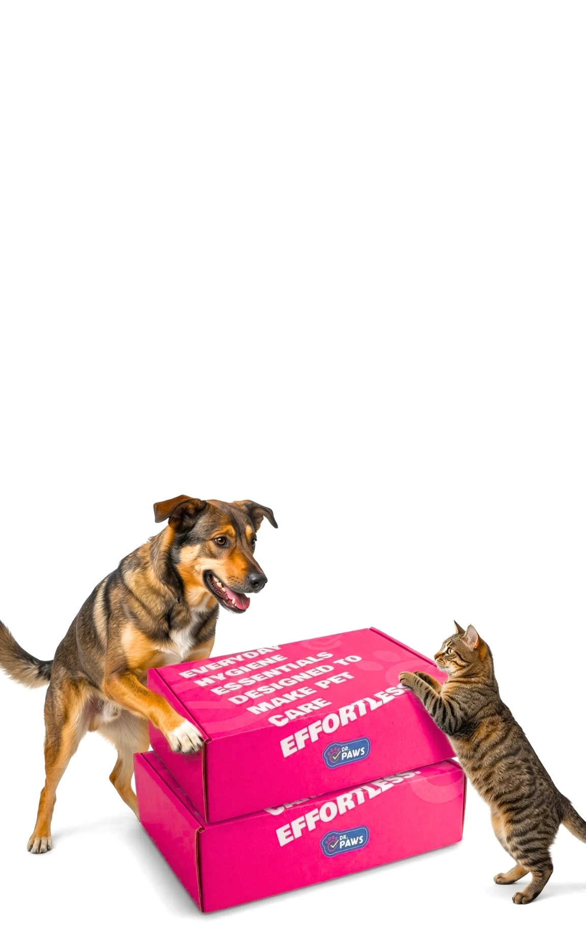 Daily Pet Hygiene Without the Stress, Mess, or Vet-Level Effort