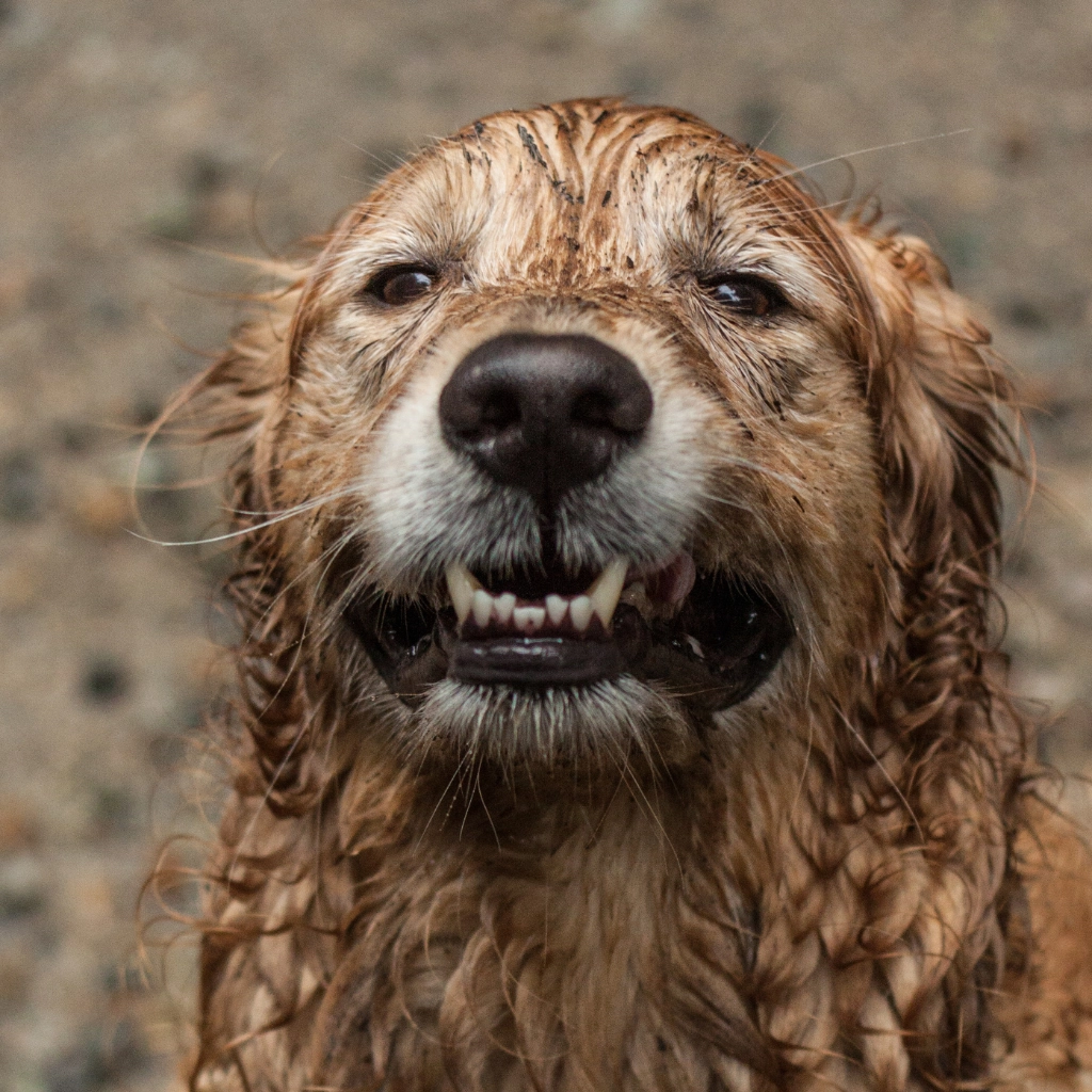 Cleanliness You Can See