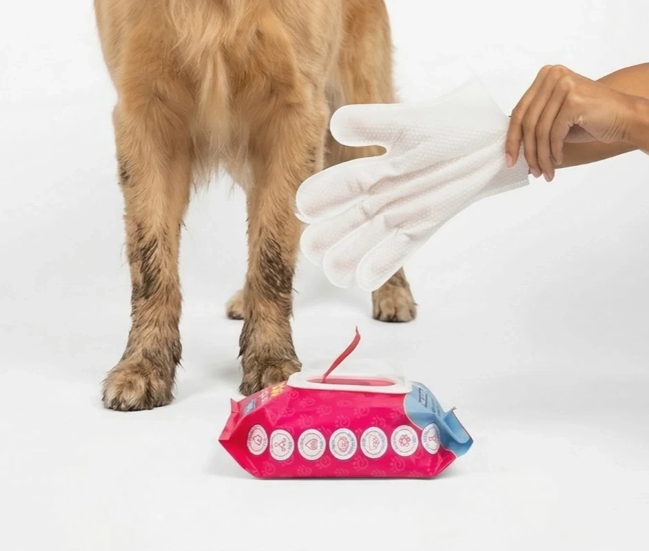 The Path To Total Hygiene