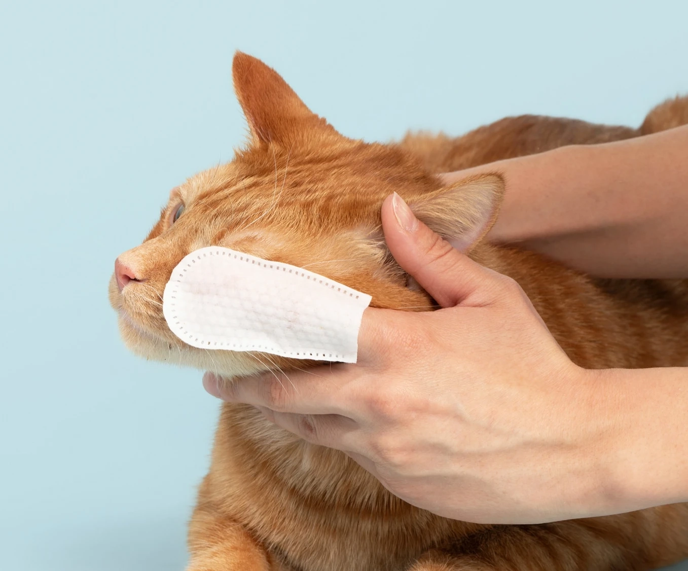 See the Difference With Consistent Daily Use