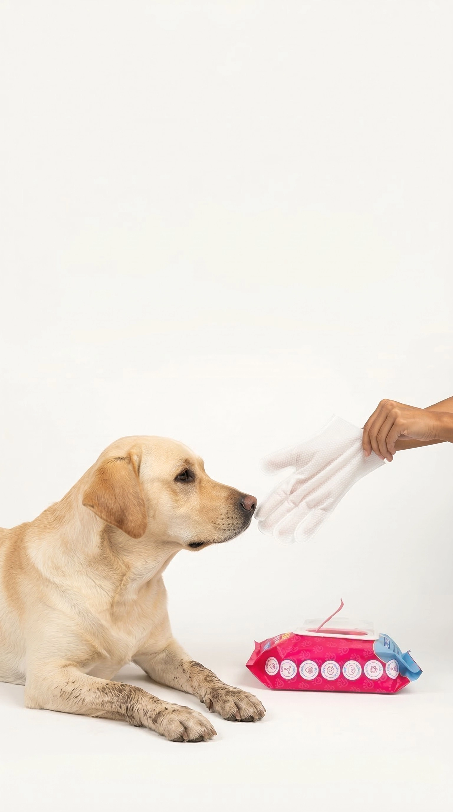 Make Muddy Walks Easier In 60 Seconds