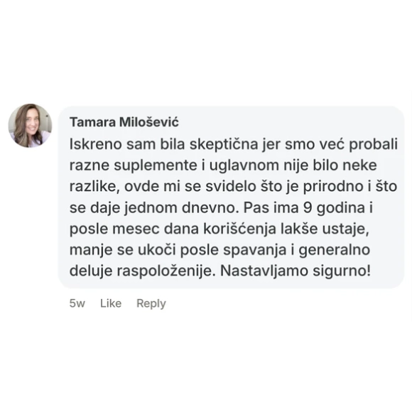 Customer