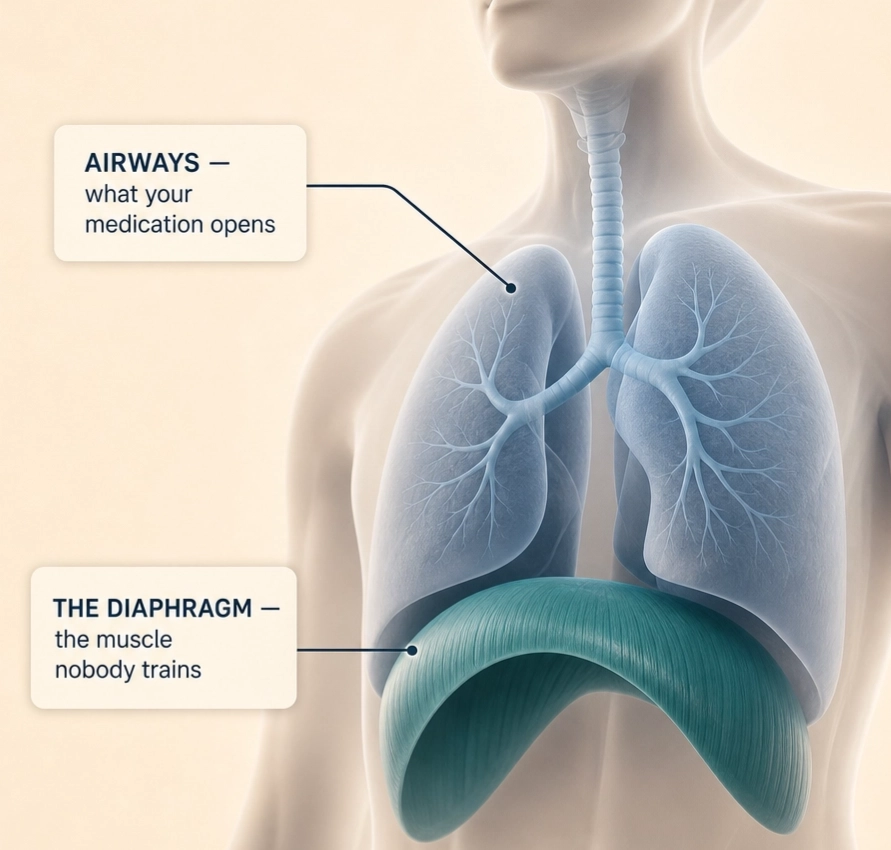 WHY YOUR BREATHING HASN'T IMPROVED DESPITE DOING EVERYTHING RIGHT