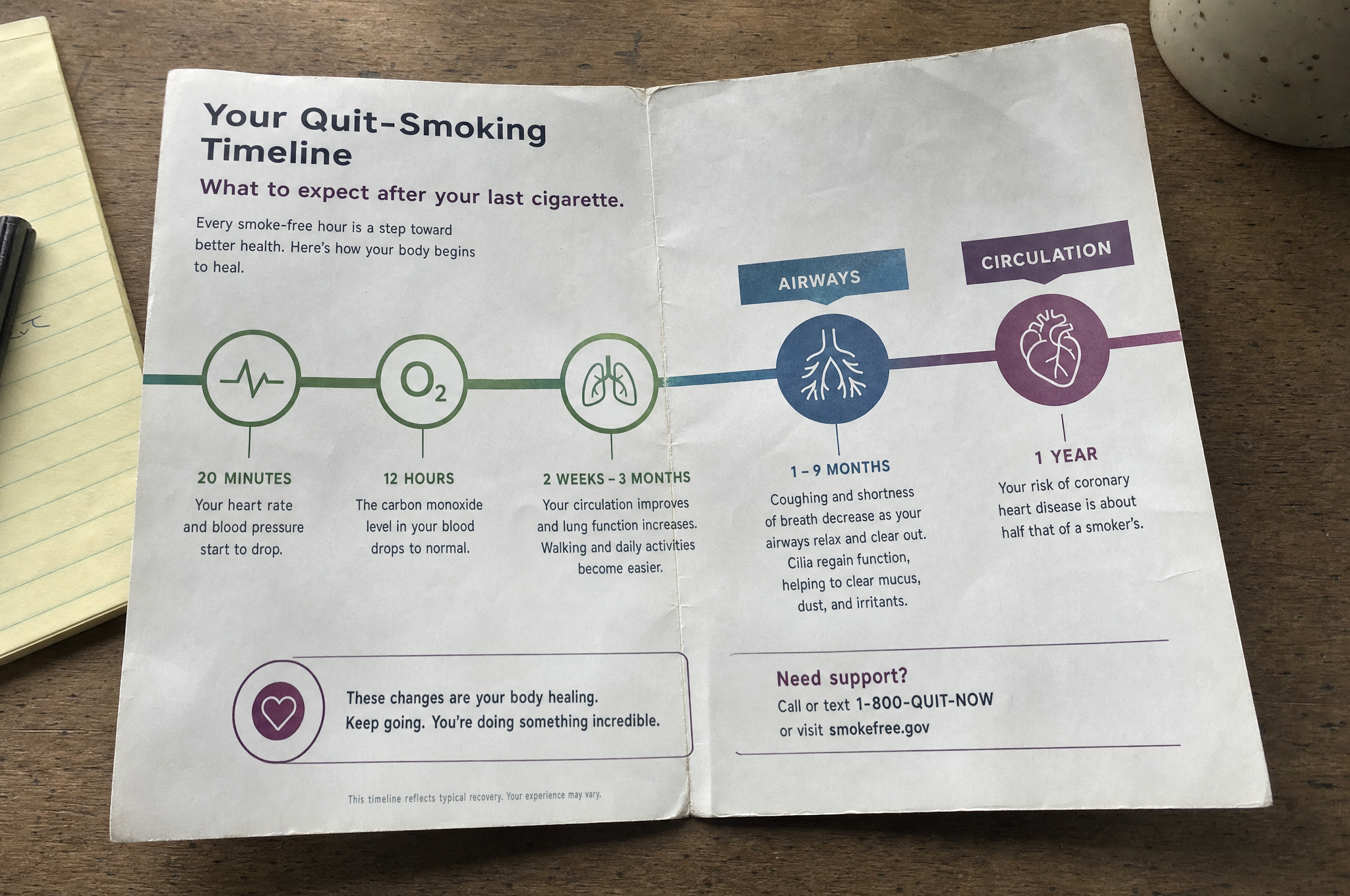 Quitting Stopped the Damage. It Didn't Undo It