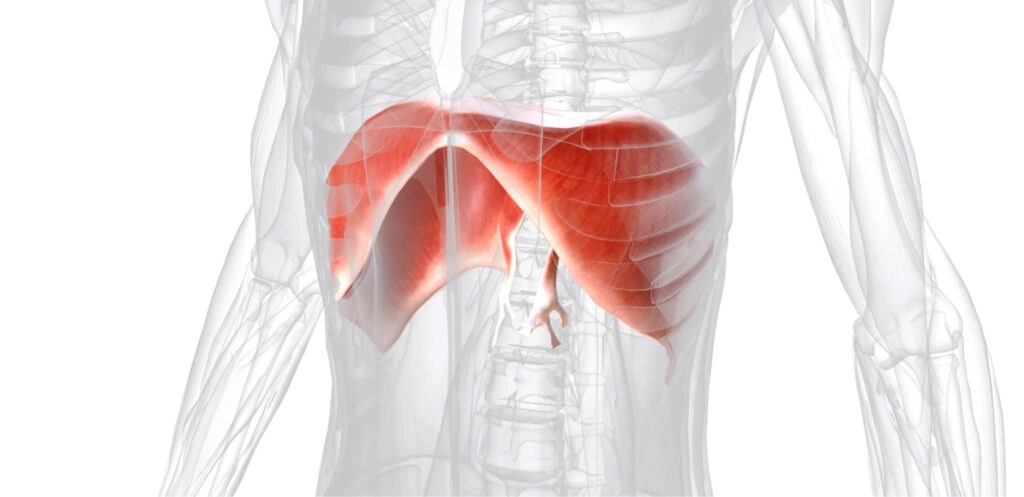 Targets the diaphragm at the source