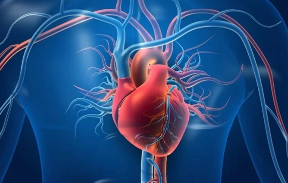 It Probably Isn't Your Heart