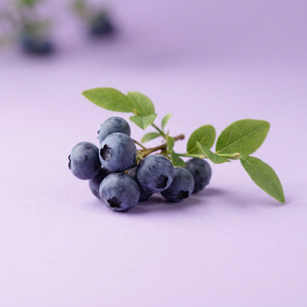

Vaccinium Myrtillus (Bilberry) Fruit Extract

