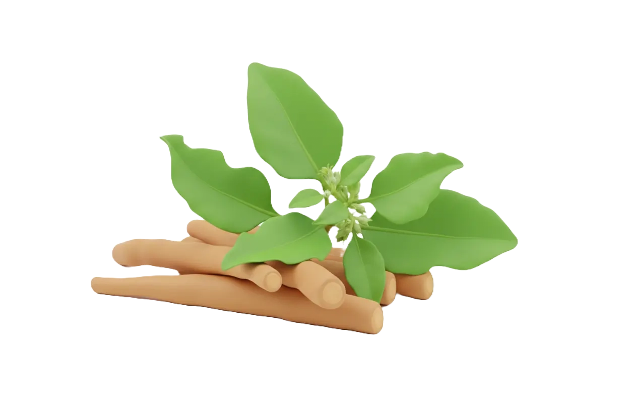 Shoden® Ashwagandha