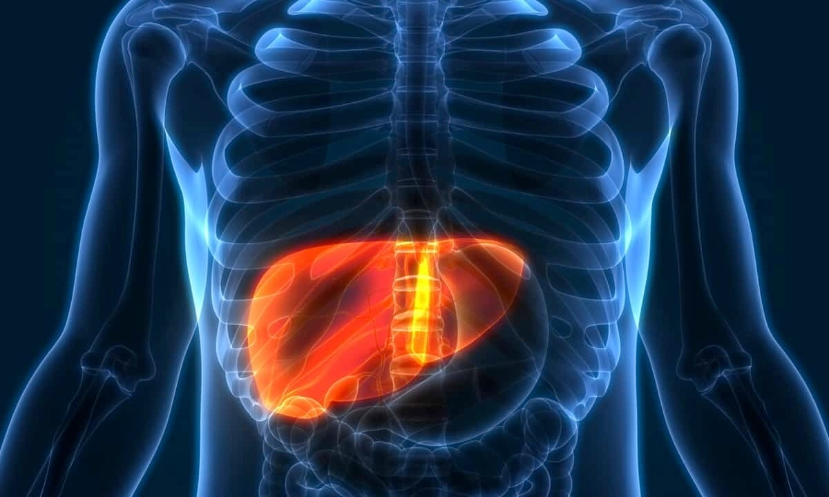 It's your liver's best friend.