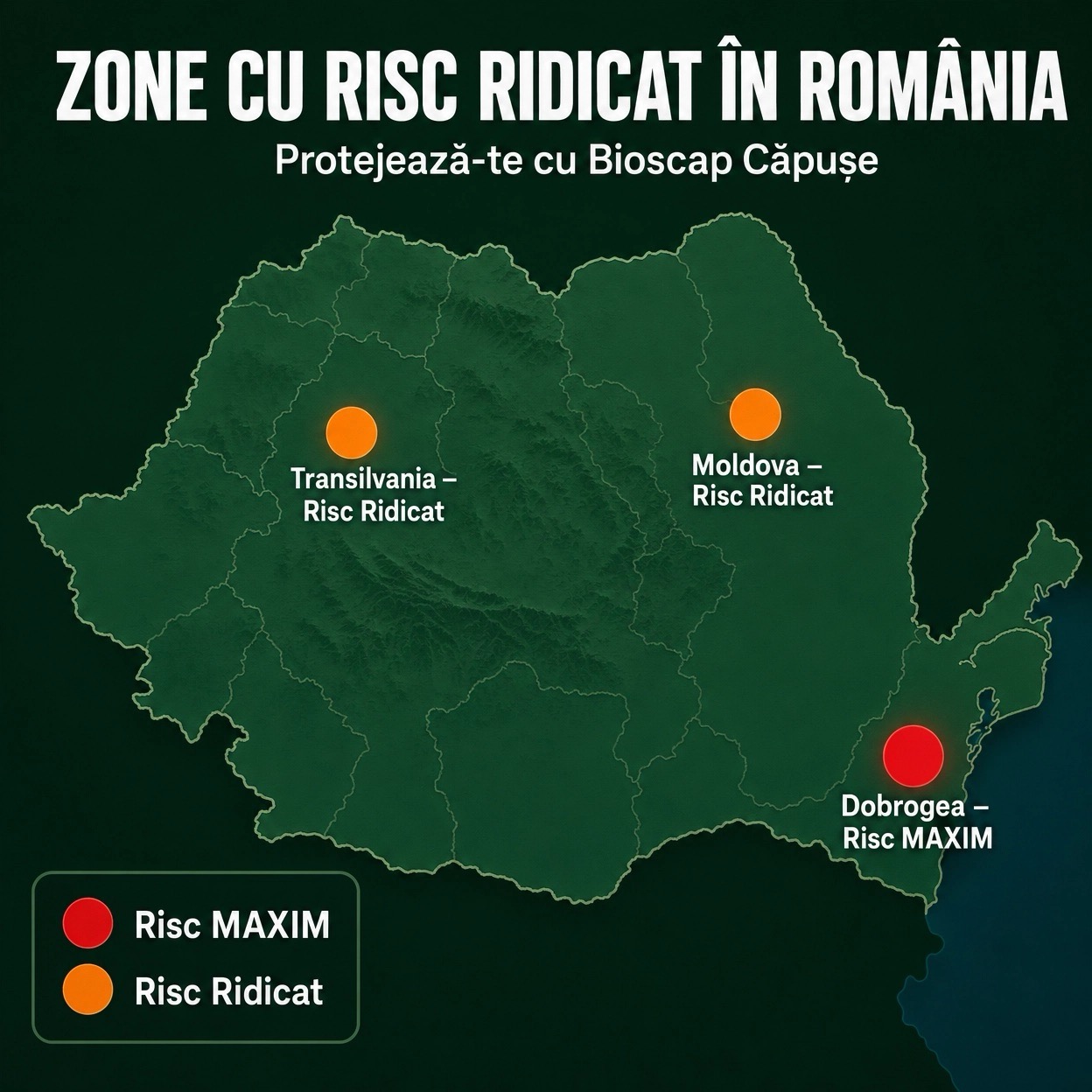 Drumul tău către o curte sigură