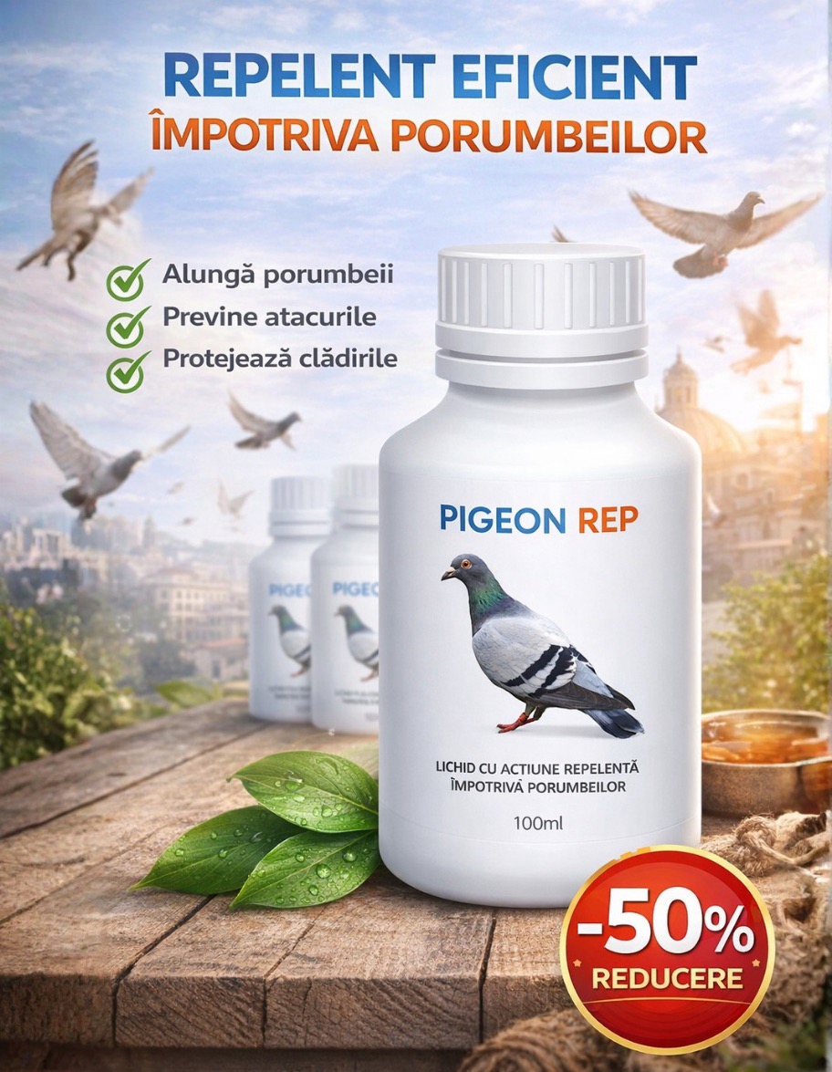 Performanță Dovedită Pentru Liniștea Casei Tale