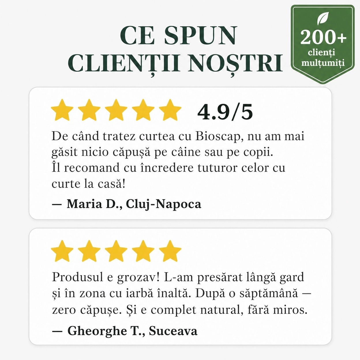 Întrebări frecvente