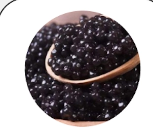 Sturgeon Caviar