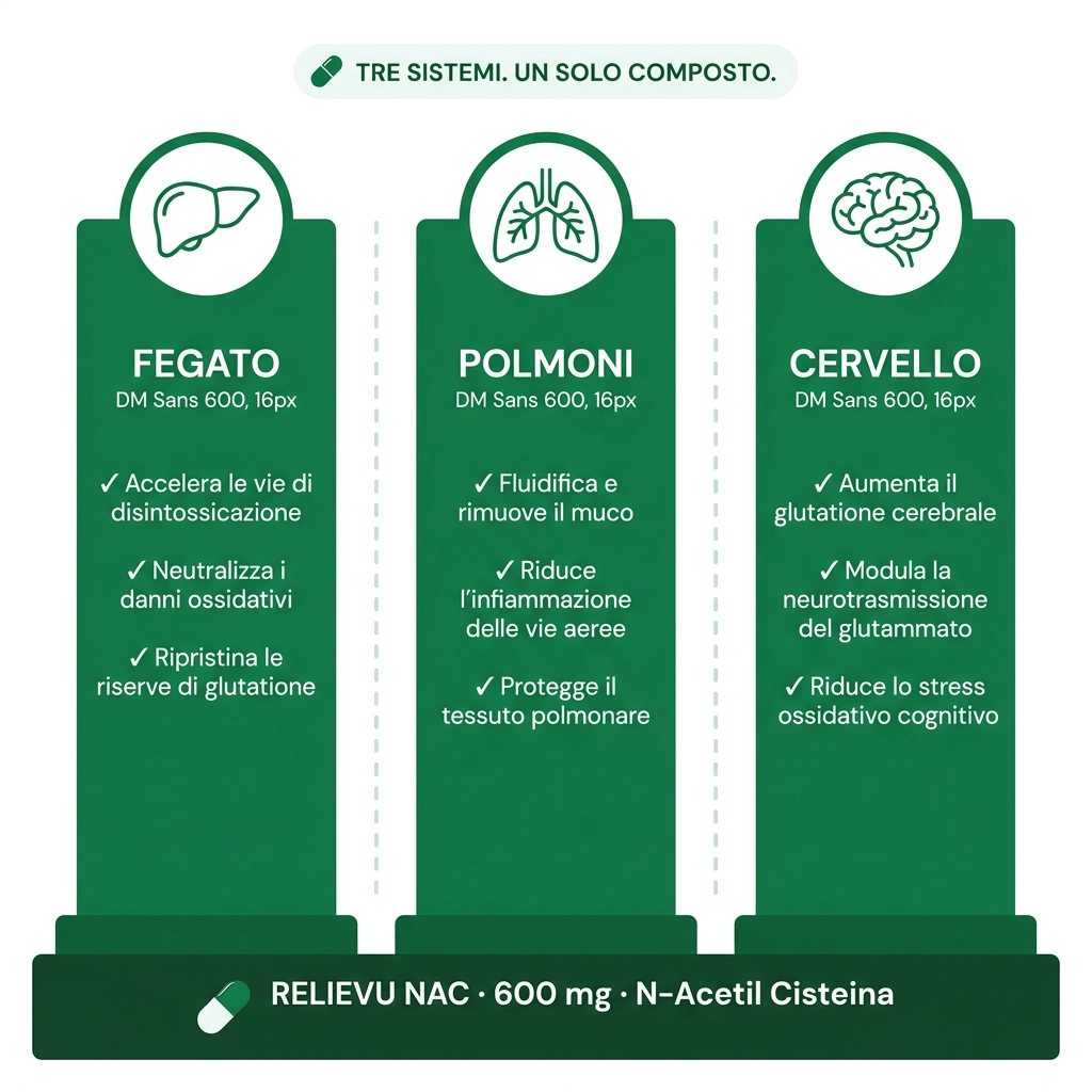 Rafforza le Tue Difese Naturali