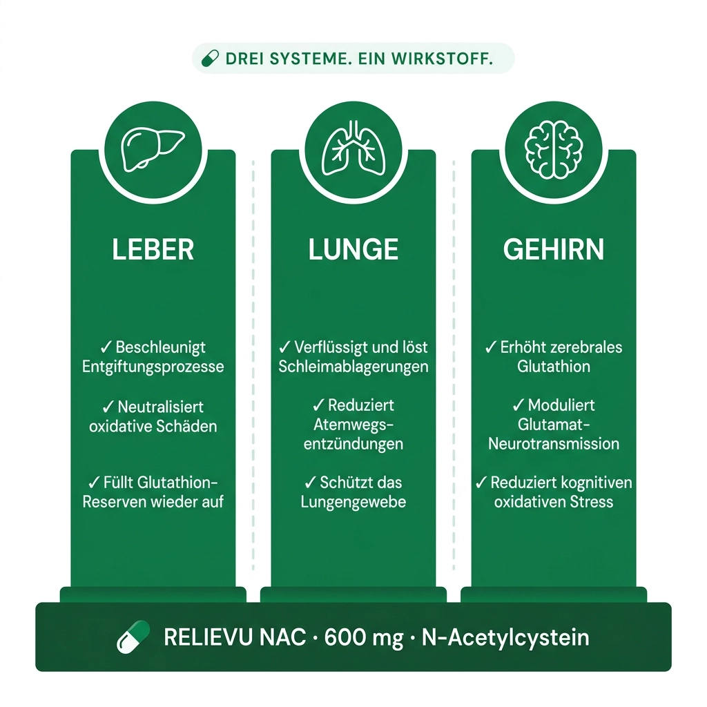 Abwehrkräfte von innen heraus stärken