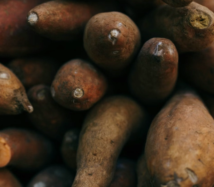 Ginger Root