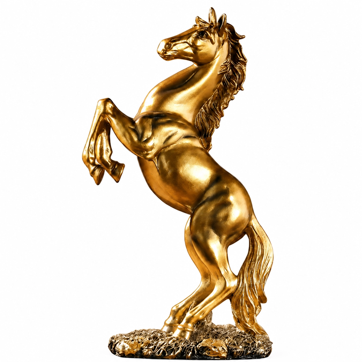 1 Stallion