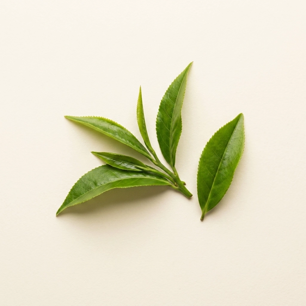 L-Theanine