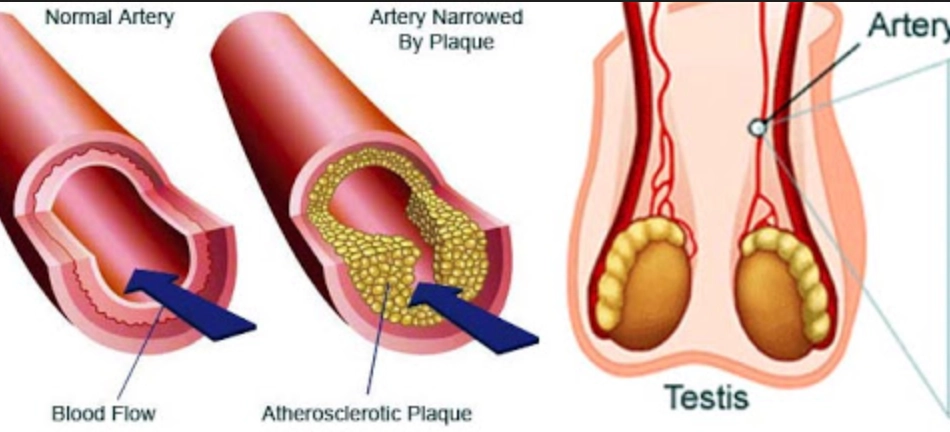 Nerve damage disrupts the essential signaling process