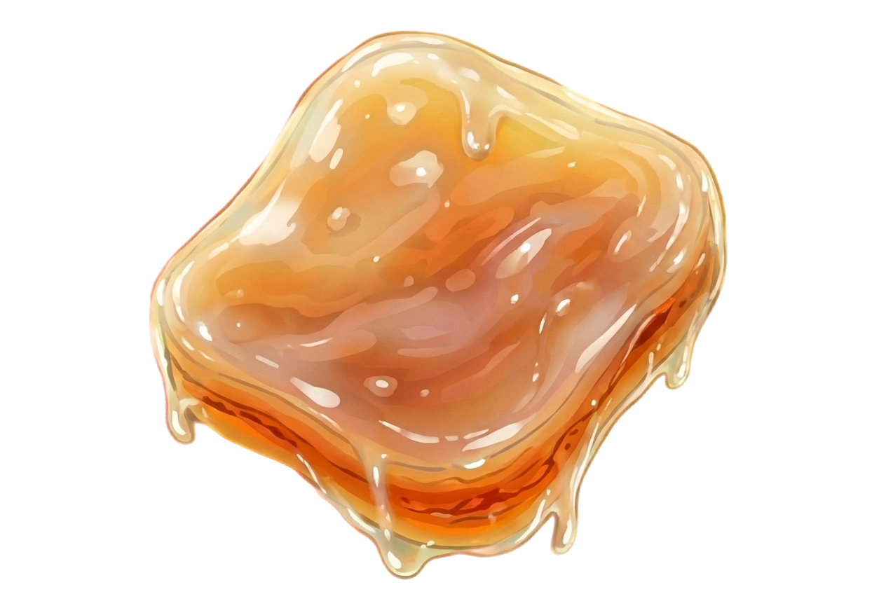 Living Kombucha Cultures