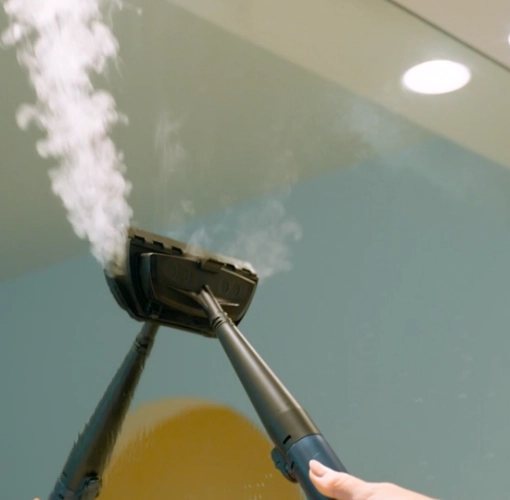 4 — Use of the steam function