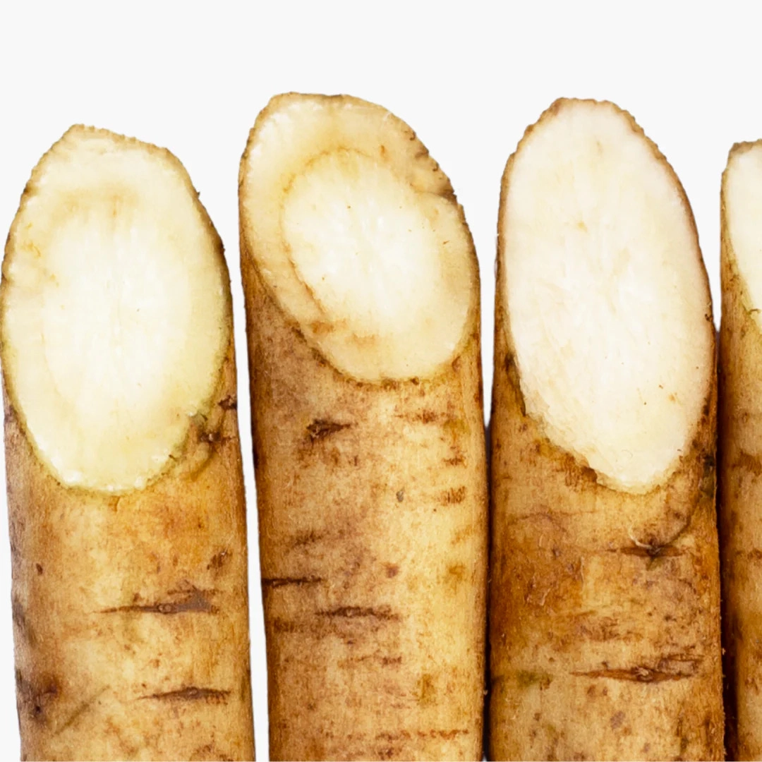 Burdock Root