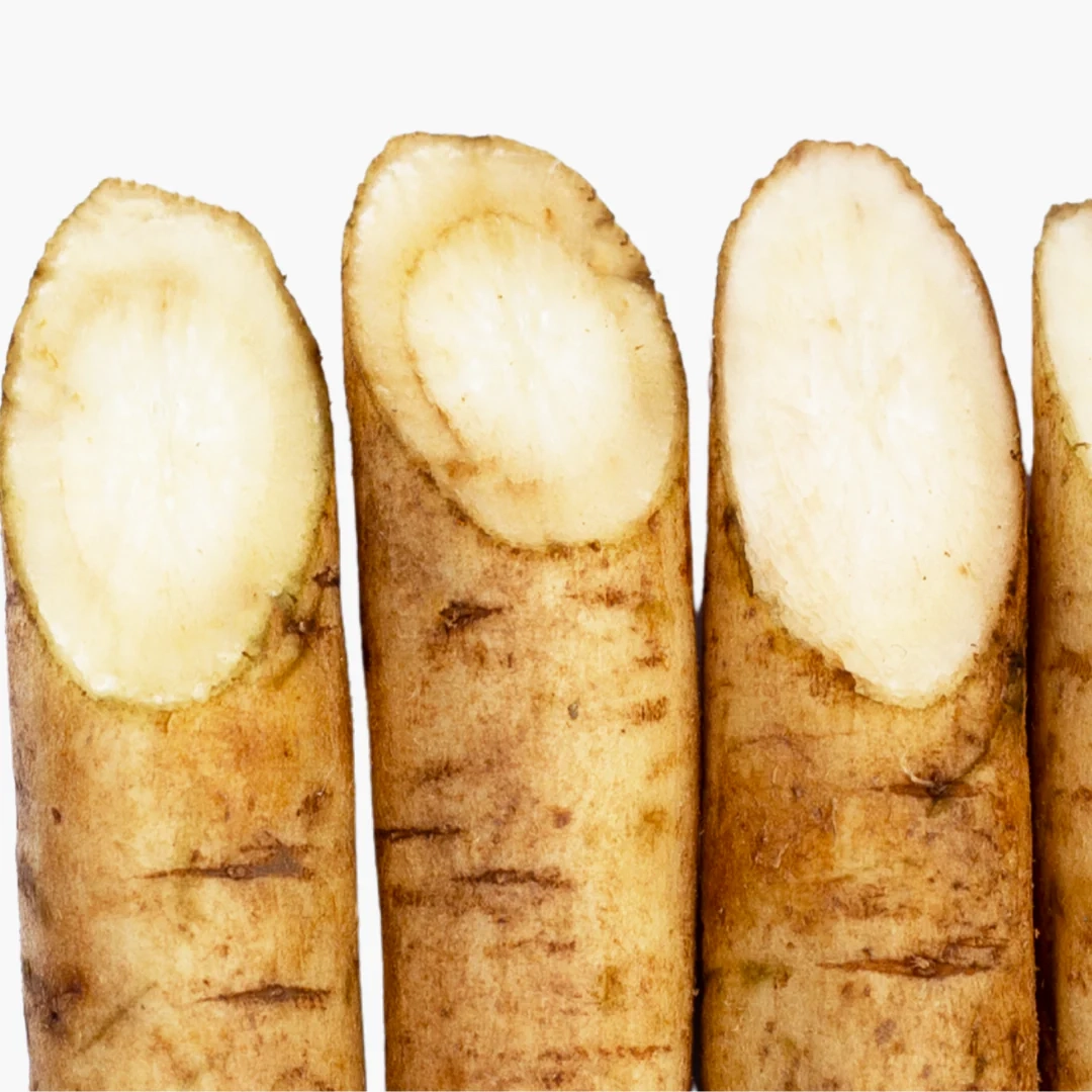 Burdock Root