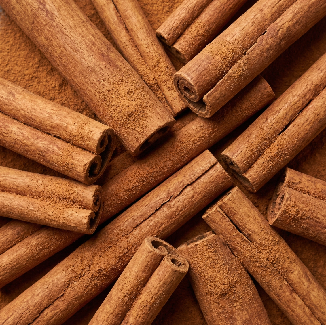 Cannelle de Ceylan