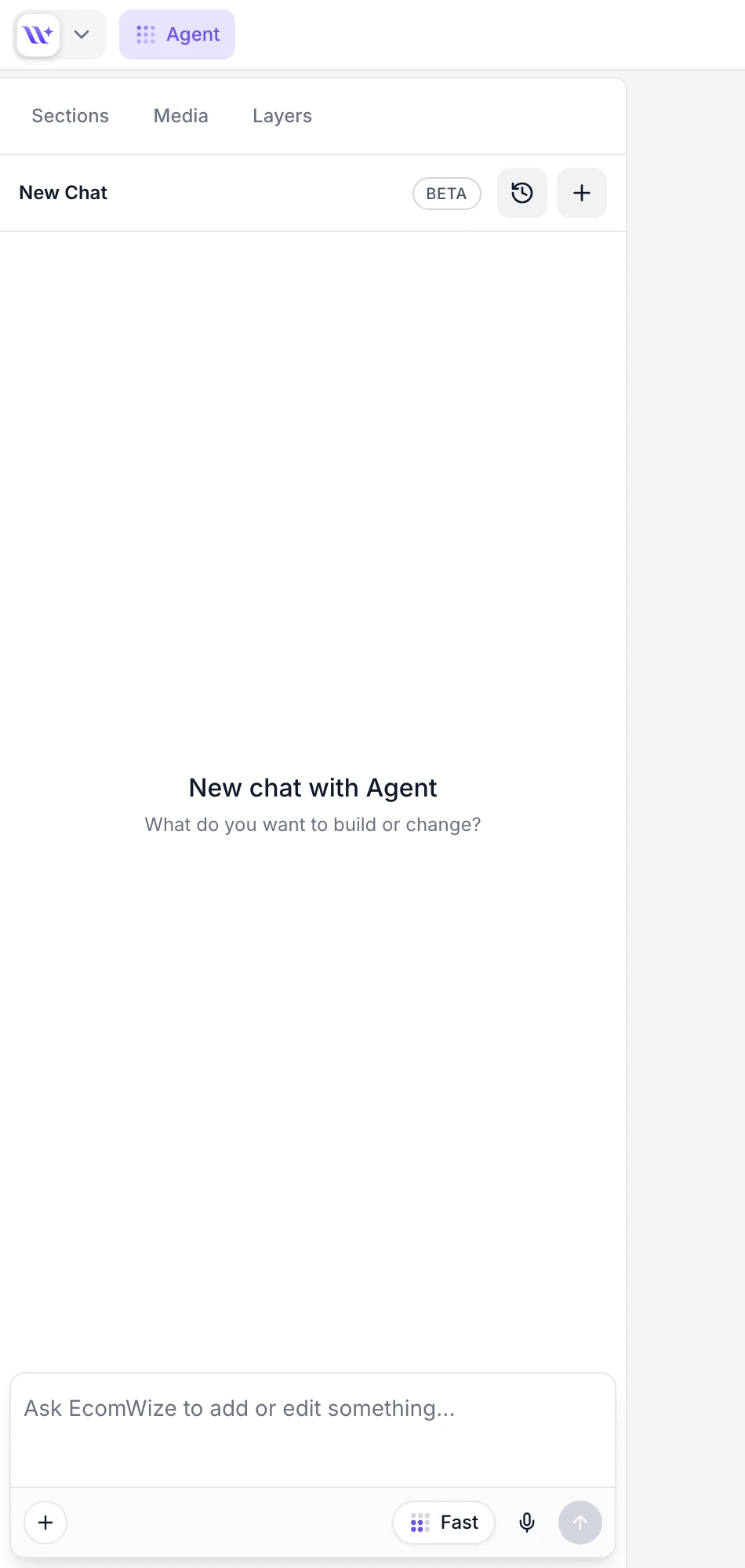 EcomWize Agent chat with input and Fast mode