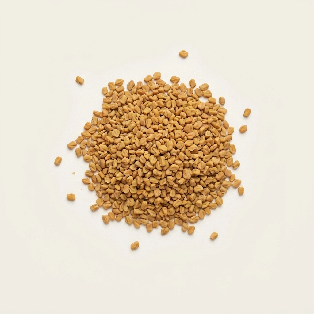 Fenugreek