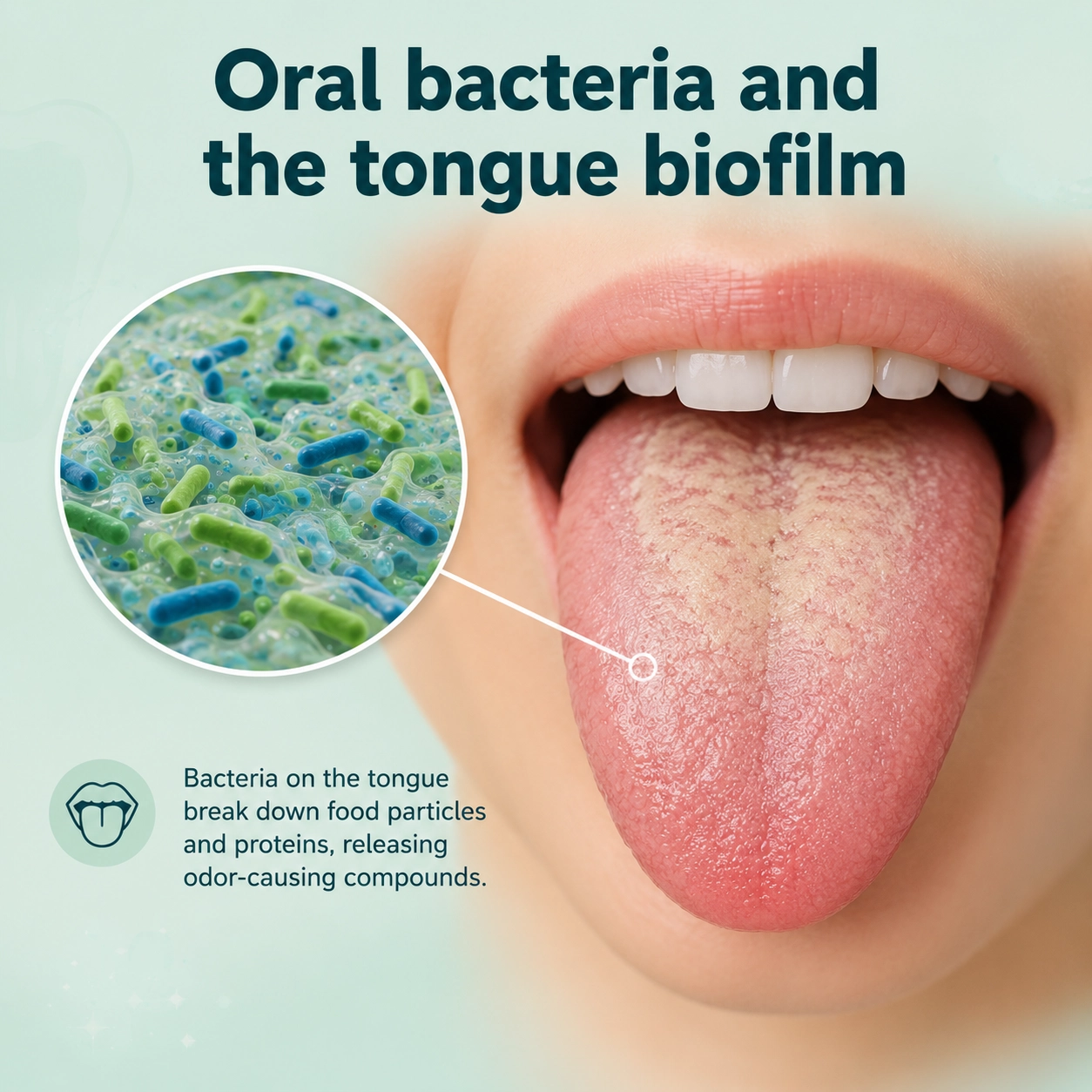 1. Oral Bacteria and The Tongue Biofilm