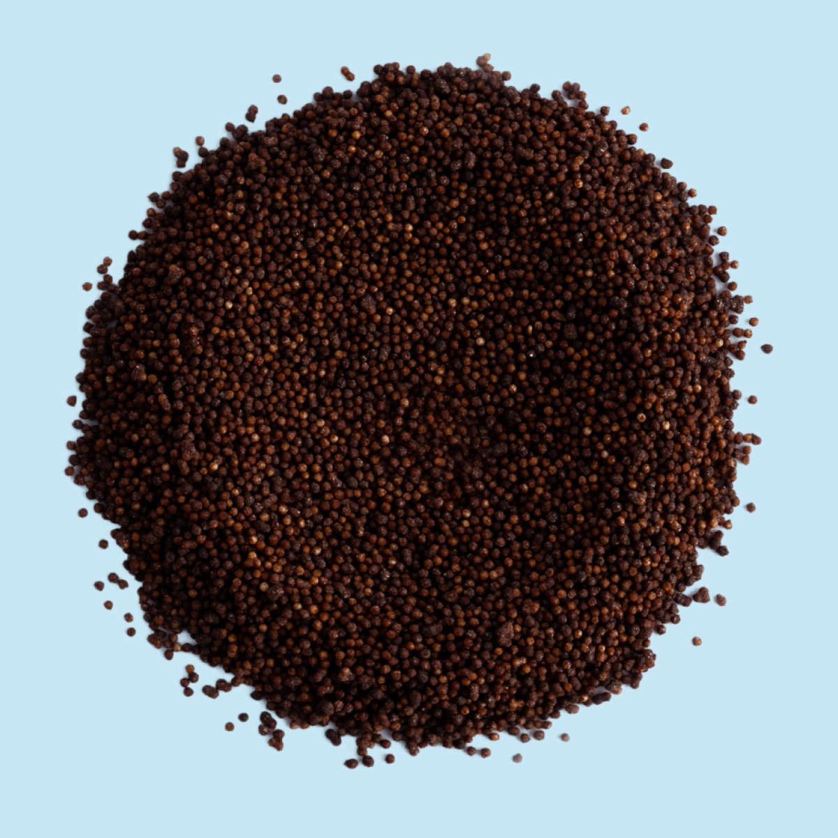 Every ingredient is clinically studied. Every beadlet is built to deliver.